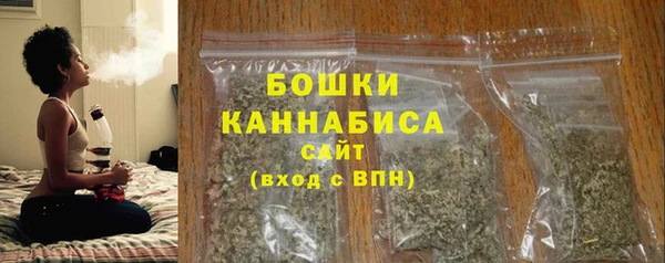 МДПВ Инсар