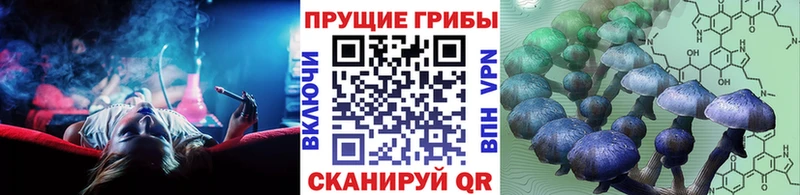 Галлюциногенные грибы MAGIC MUSHROOMS Ленинск-Кузнецкий