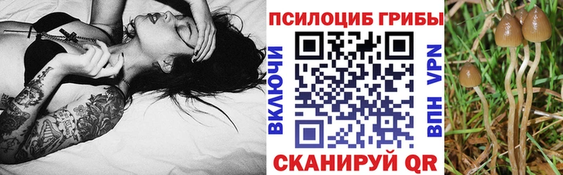 Галлюциногенные грибы мицелий  ОМГ ОМГ   Ленинск-Кузнецкий 