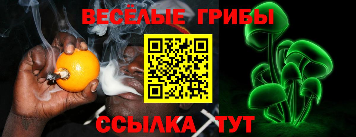 Галлюциногенные грибы Psilocybine cubensis  купить наркотики сайты  Вход с VPN  Ленинск-Кузнецкий  Галлюциногенные грибы мицелий 
